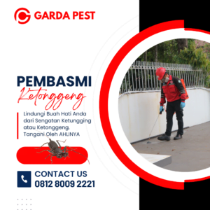 Jasa Pembasmi Ketonggeng di Bandung