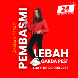 Jasa Pembasmi Lebah di Bandung
