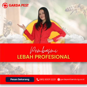 Jasa Basmi Lebah di Bandung