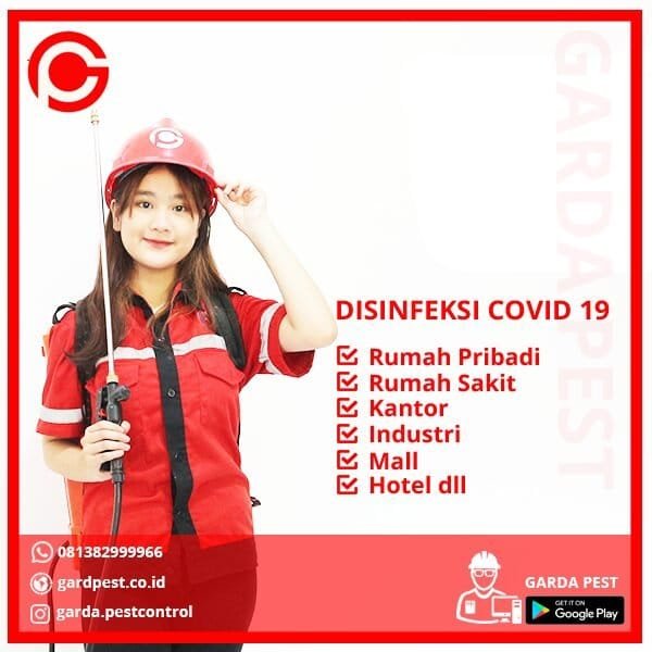 Jasa Disinfektan Mobil Jakarta Timur