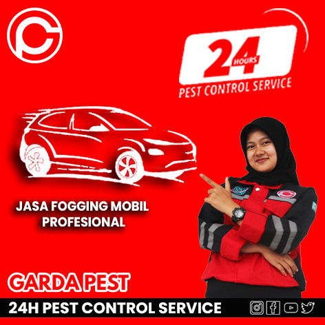 Jasa Fogging Mobil Bandung