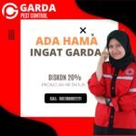 Pest Control Rayap Pest Control Service