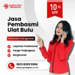 Jasa Pembasmi Ulat Bulu Cirebon | Terbaik No.1 Jasa Pembasmi Ulat Bulu Terdekat