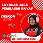 Jasa Pembasmi Rayap Cirebon Jasa Anti Rayap Jakarta Profesional dan Bergaransi
