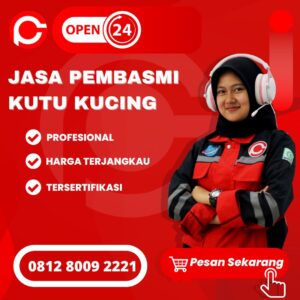 Jasa Basmi Kutu Kucing di Semarang Kota