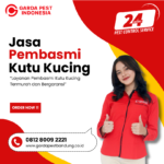 Jasa Pembasmi Kutu Kucing Bandung | Bergaransi Jasa Pembasmi Kutu Kucing Bandung