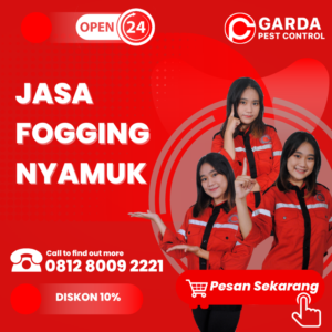 Jasa Fogging Surabaya