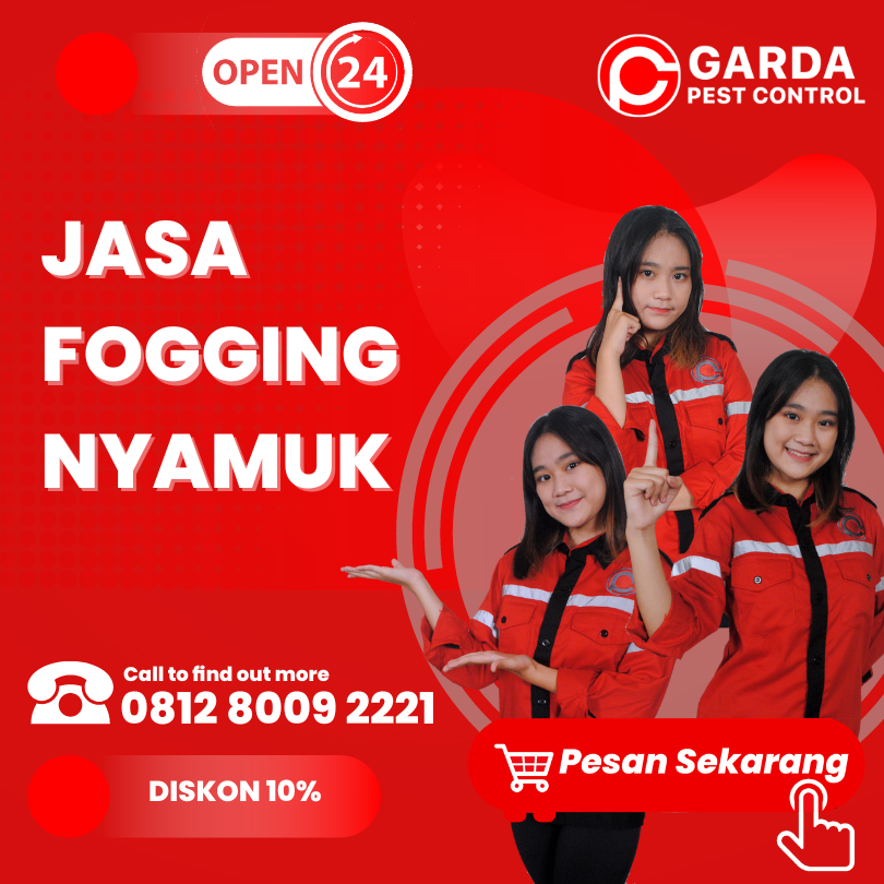 Jasa Fogging Medan
