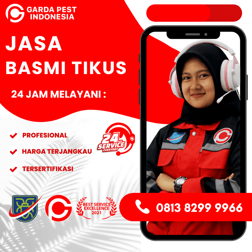 Layanan Jasa Pembasmi Tikus di Rumah Kupang
