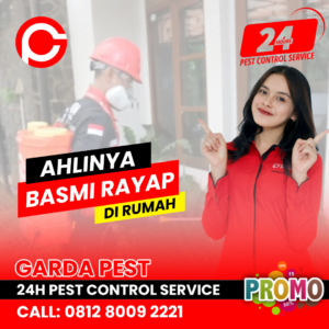 Jasa Anti Rayap Jepara