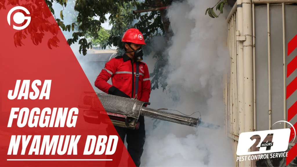 JASA FOGGING NYAMUK DBD MURAH