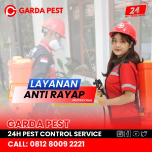 Jasa Anti Rayap Jepara