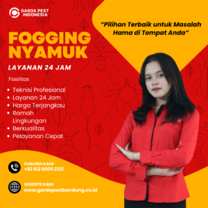 Fogging Nyamuk di Tangerang