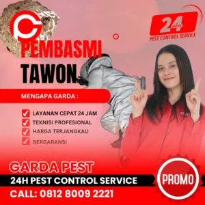 Jasa Pembasmi Tawon Semarang
