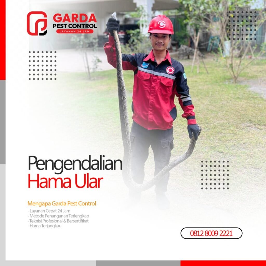 Layanan Jasa Pembasmi Ular di Bandung Terdekat Dilokasi Anda