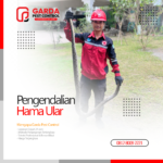 Layanan Jasa Pembasmi Ular di Bandung Terdekat Dilokasi Anda