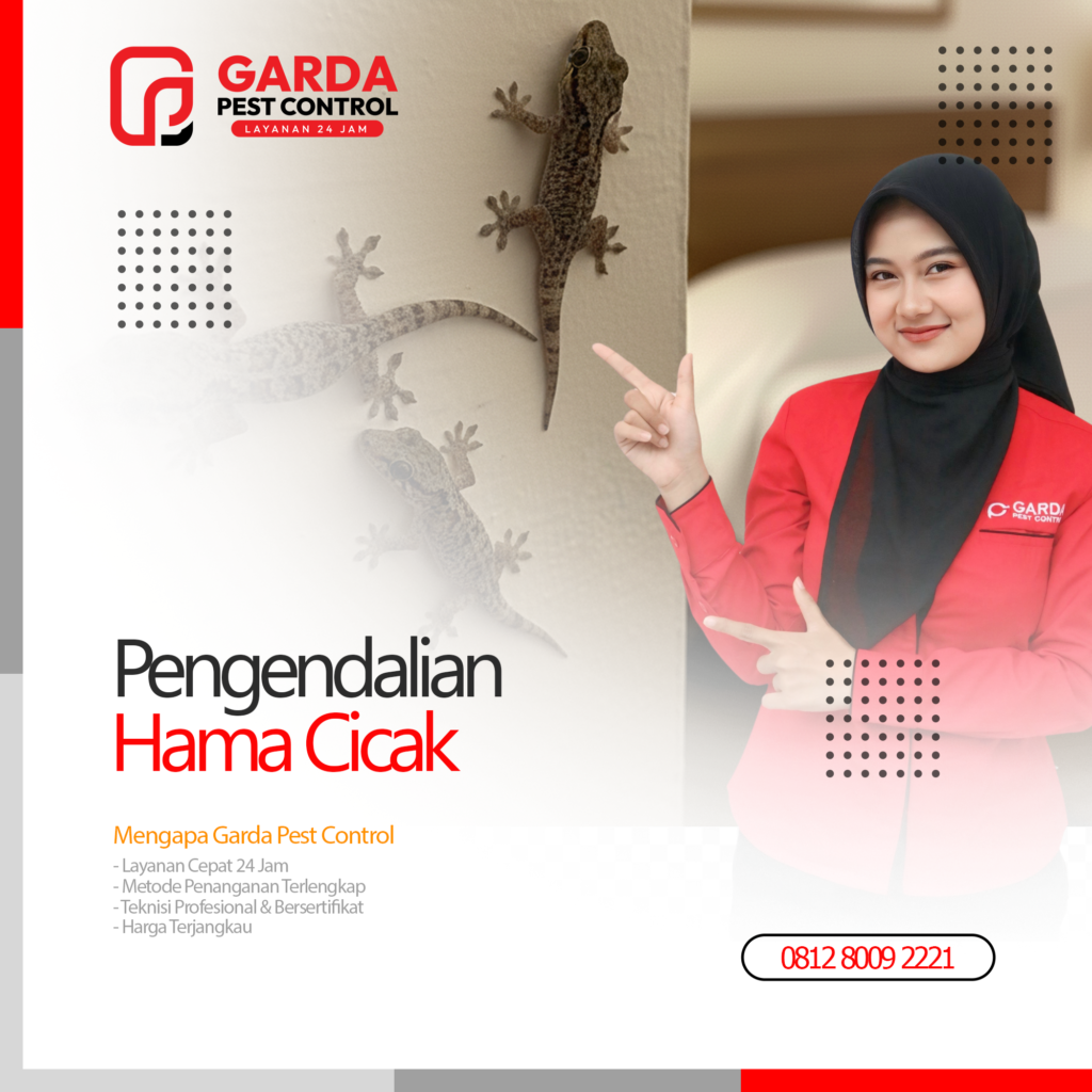 Jasa Pembasmi Cicak di Bandung 24 Jam Layanan