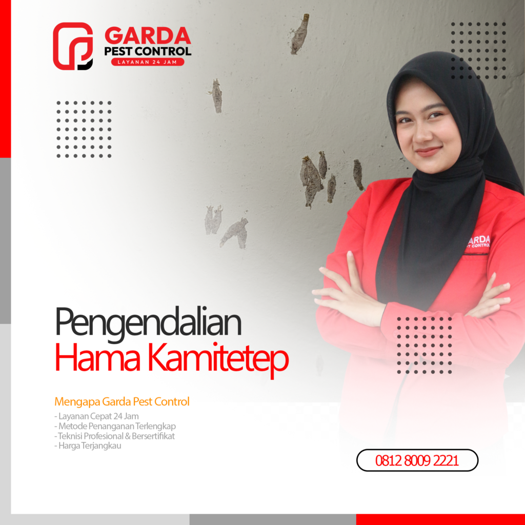 Jasa Pembasmi Kamitetep Terdekat di Bandung Garda Pest Control