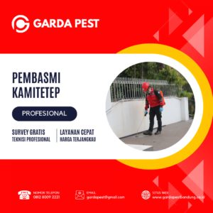 Jasa Pembasmi Kamitetep di Bandung