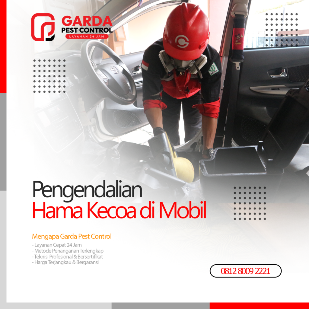 Jasa Pembasmi Kecoa Mobil di Bandung Tanpa Bongkar Bergaransi
