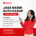 Jasa Pembasmi Kutu Busuk Cirebon : Murah Pisan Jasa Pembasmi Kutu Kasur Terdekat
