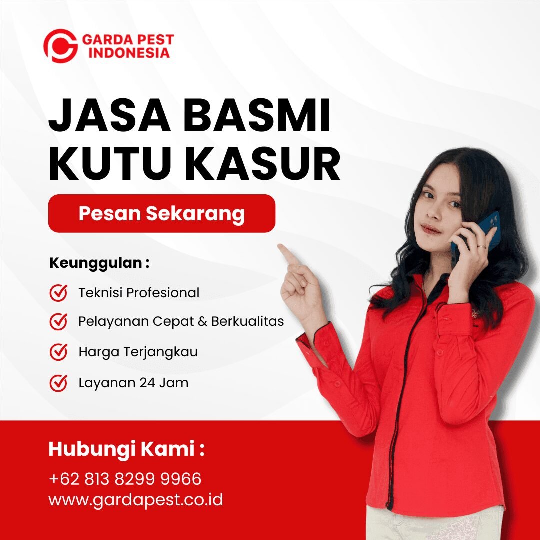 Harga Jasa Pembasmi Kutu Kasur di Bandung : Termurah No.1