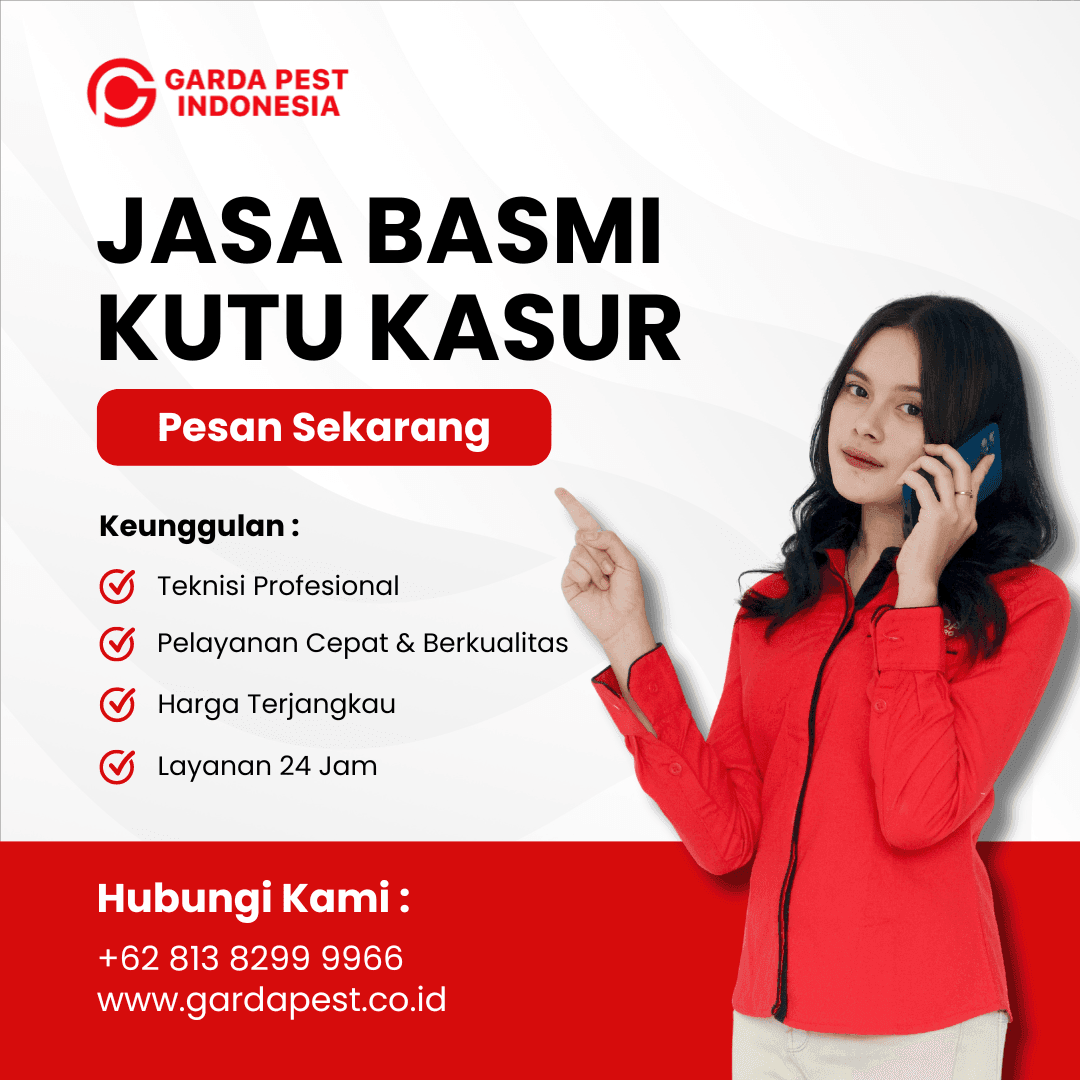 Basmi Kutu Kasur Cirebon