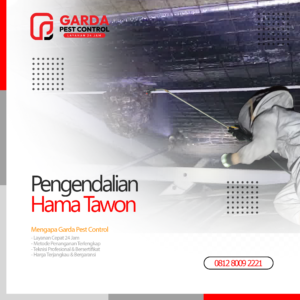 Jasa Pembasmi Sarang Lebah & Tawon di Bandung Bergaransi