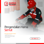 Jasa Pembasmi Semut di Bandung