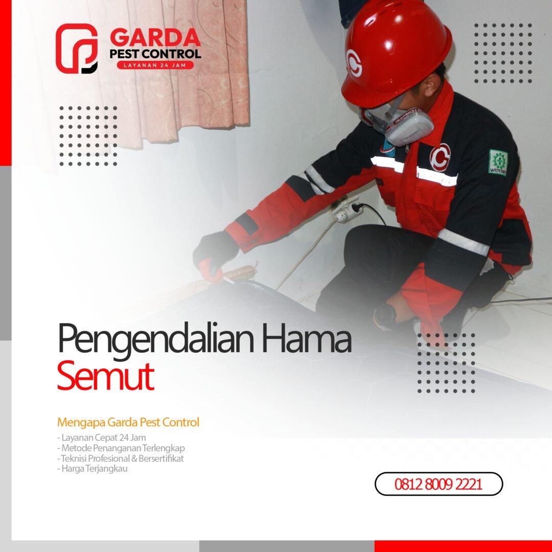 Jasa Pembasmi Semut di Bandung