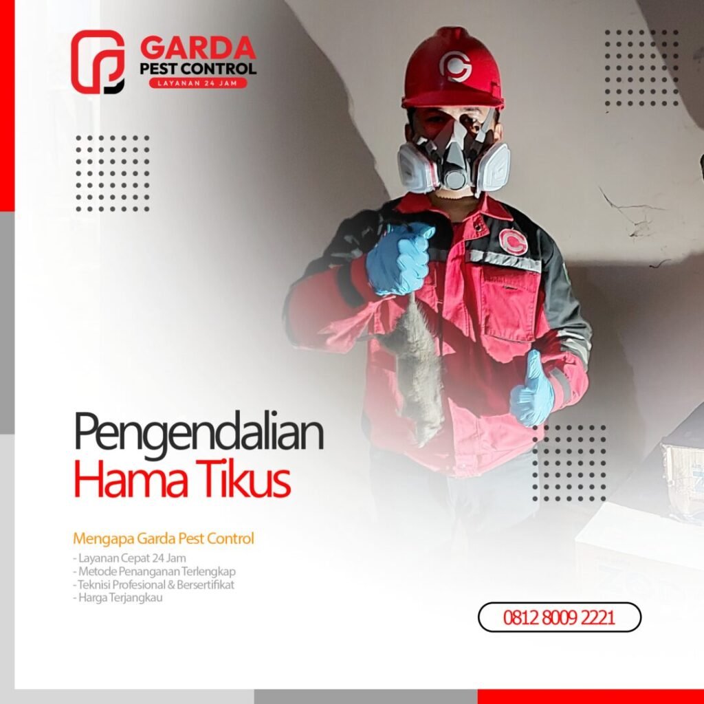 Jasa Pembasmi Tikus Bandung Efektif dan Murah
