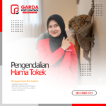 Jasa Pembasmi Tokek di Bandung 24 Jam Layanan