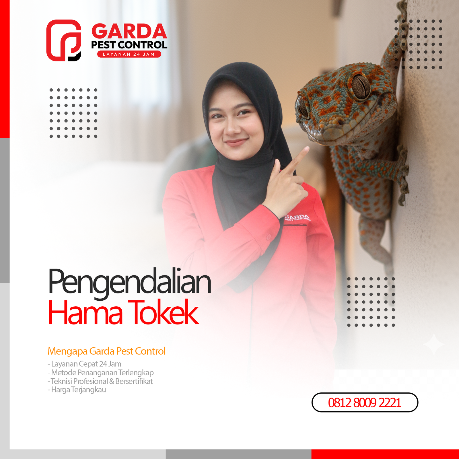 Jasa Pembasmi Tokek Terdekat di Bandung Panggilan 24 Jam