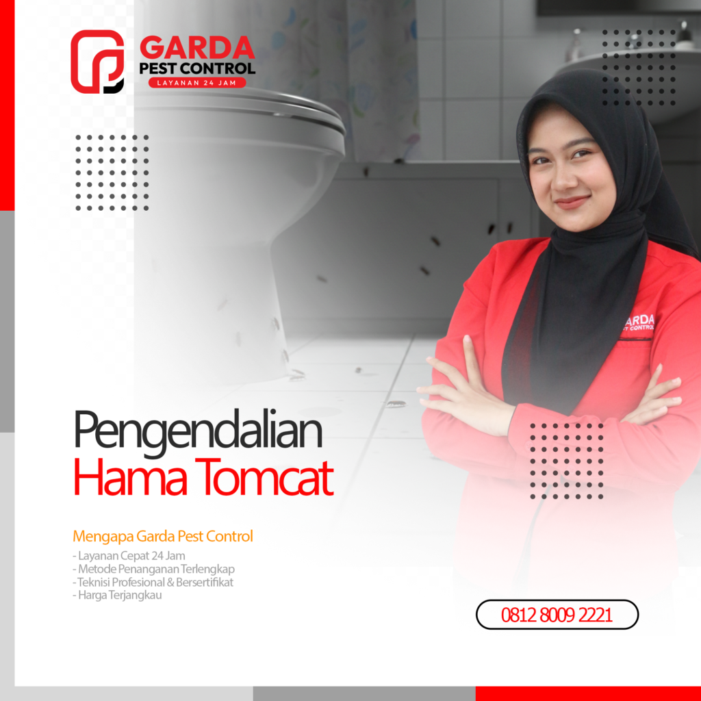 Jasa Pembasmi Tomcat di Bandung No.1 Termurah