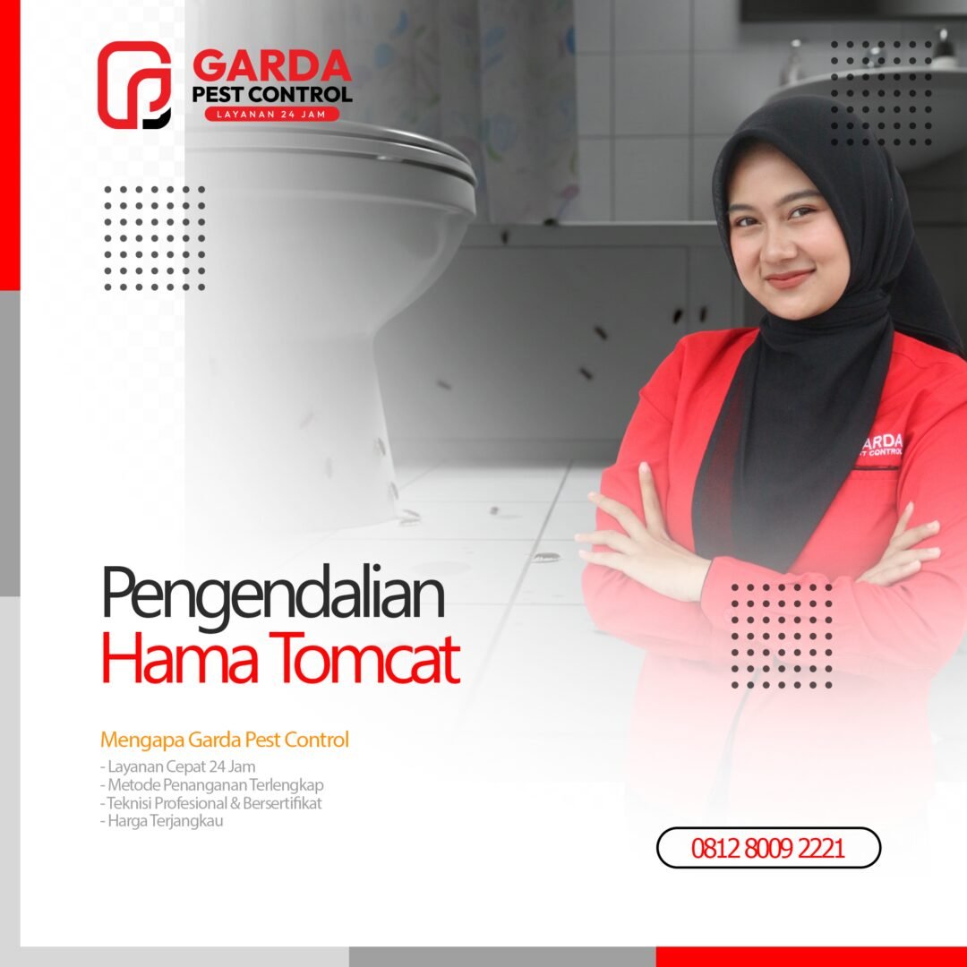 Jasa Pembasmi Tomcat di Bandung No.1 Termurah