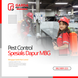 Jasa Pest Control Untuk Dapur MBG Terdekat di Bandung