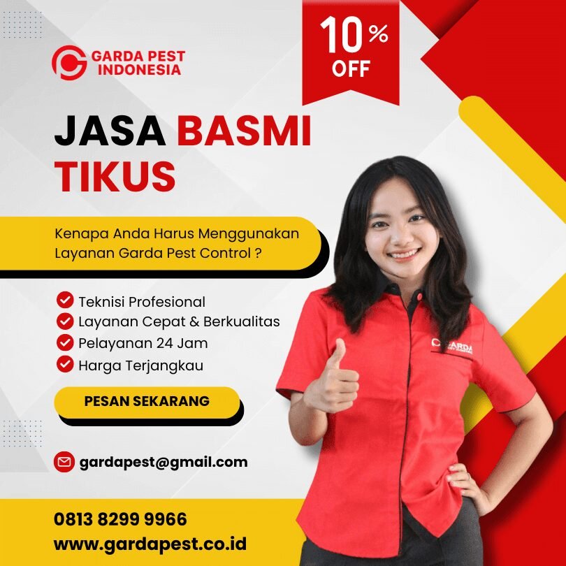 Jasa Pembasmi Tikus di Bandung Raya Terbaik