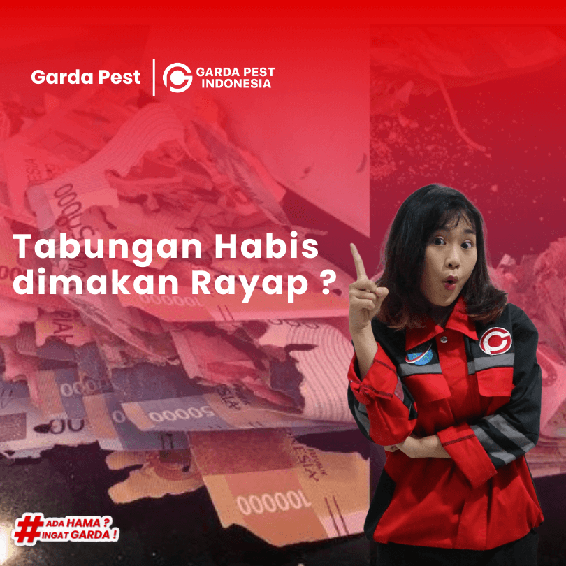 Tukang Rayap di Bekasi : Bergaransi