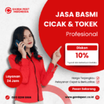 Jasa Pembasmi Cicak dan Tokek