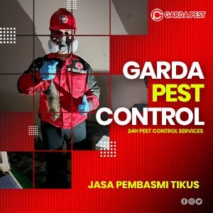 Jasa Pembasmi Tikus di Andir Bandung 24 Jam