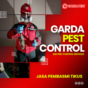 Jasa Pembasmi Tikus di Andir Bandung 24 Jam