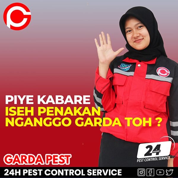 Jasa Pembasmi Tawon di Cimahi