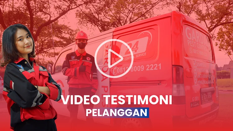 Testimoni Garda Pest Control Semarang