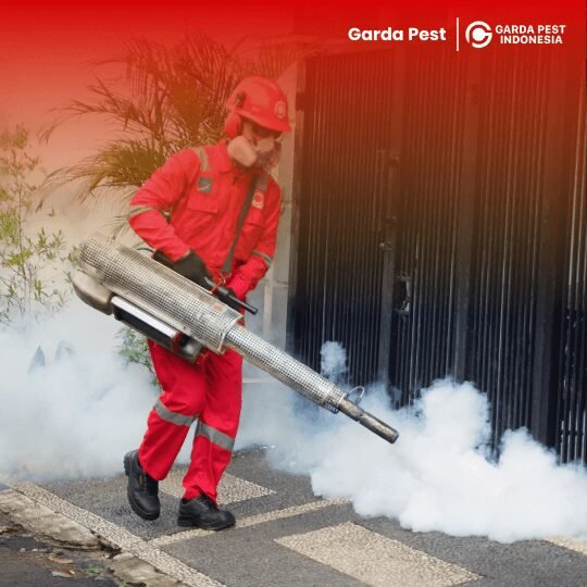 Harga Jasa Fogging Nyamuk di Kota Cianjur