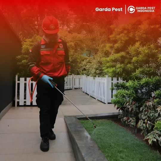 Jasa Pembasmi Ulat Bulu di Bandung Bergaransi Resmi