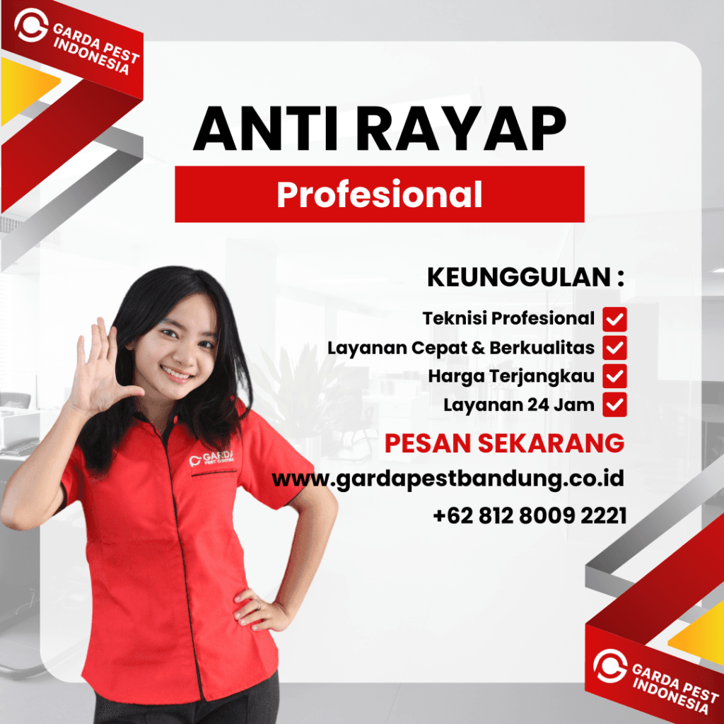 Jasa Pembasmi Rayap di Bandung Kidul Bergaransi