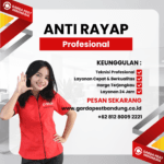 Jasa Anti Rayap Terbaik dan Profesional