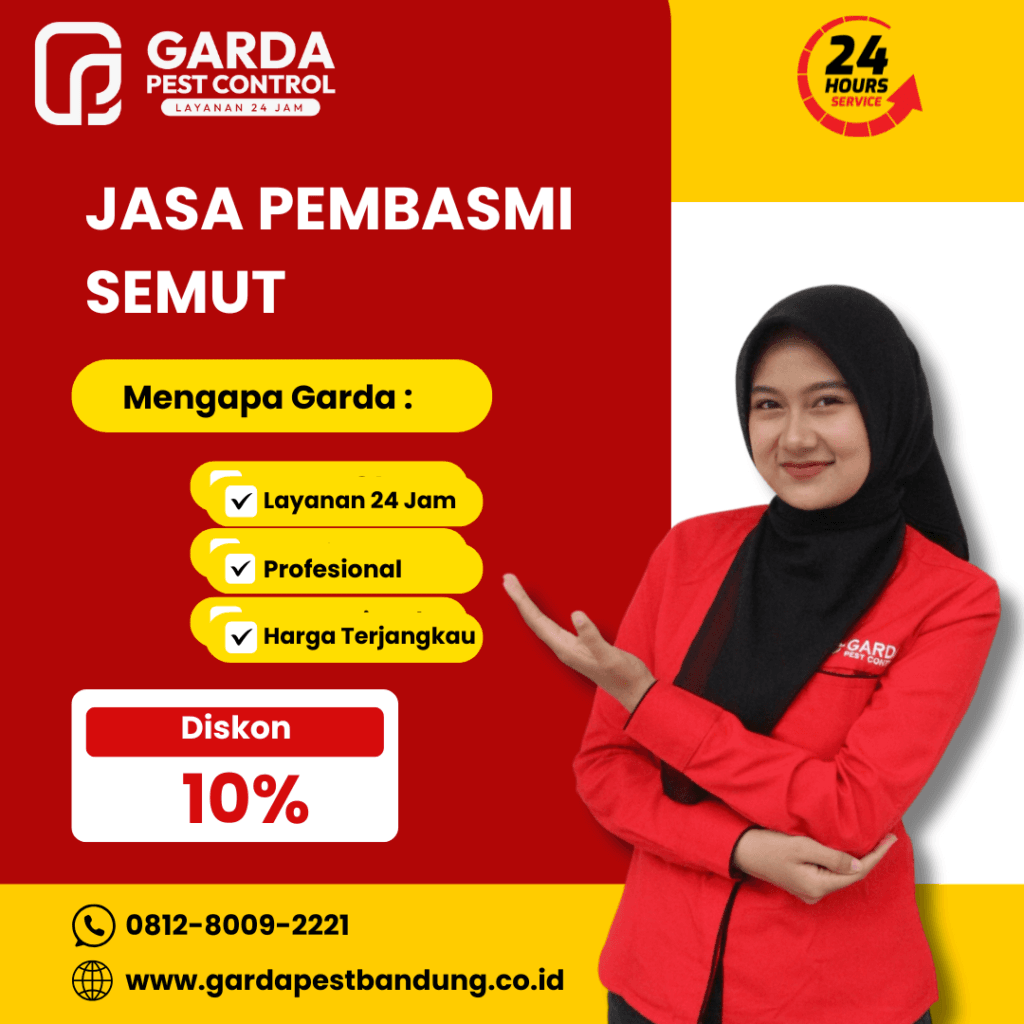 Jasa Pembasmi Semut di Mobil Bandung