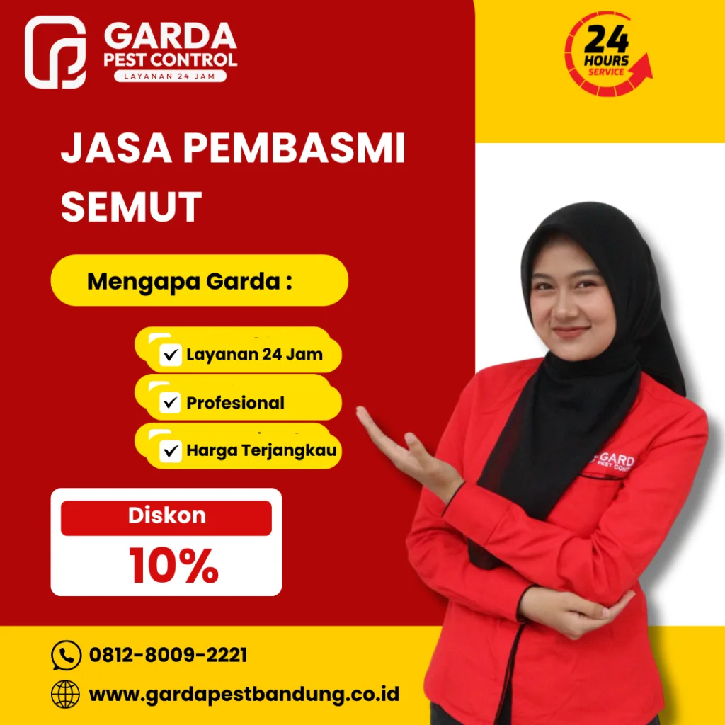Jasa Pembasmi Semut di Mobil Bandung