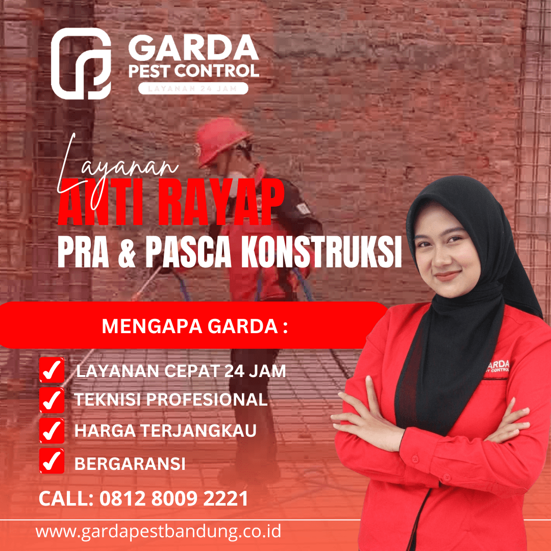 Jasa Anti Rayap Bandung Bergaransi dan Terjangkau